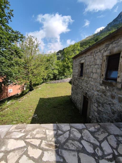 Nature Escape Montenegro Kotor Kültér fotó