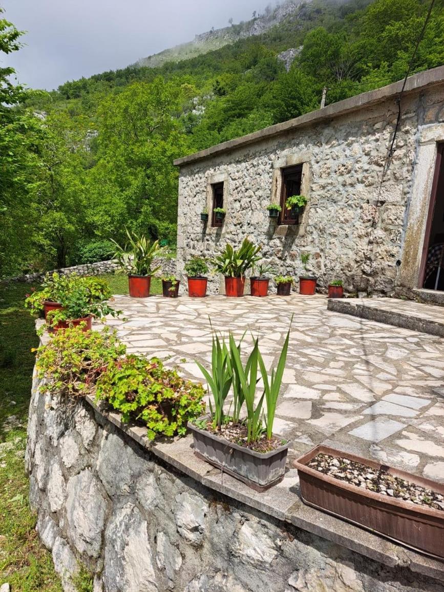 Nature Escape Montenegro Kotor Kültér fotó