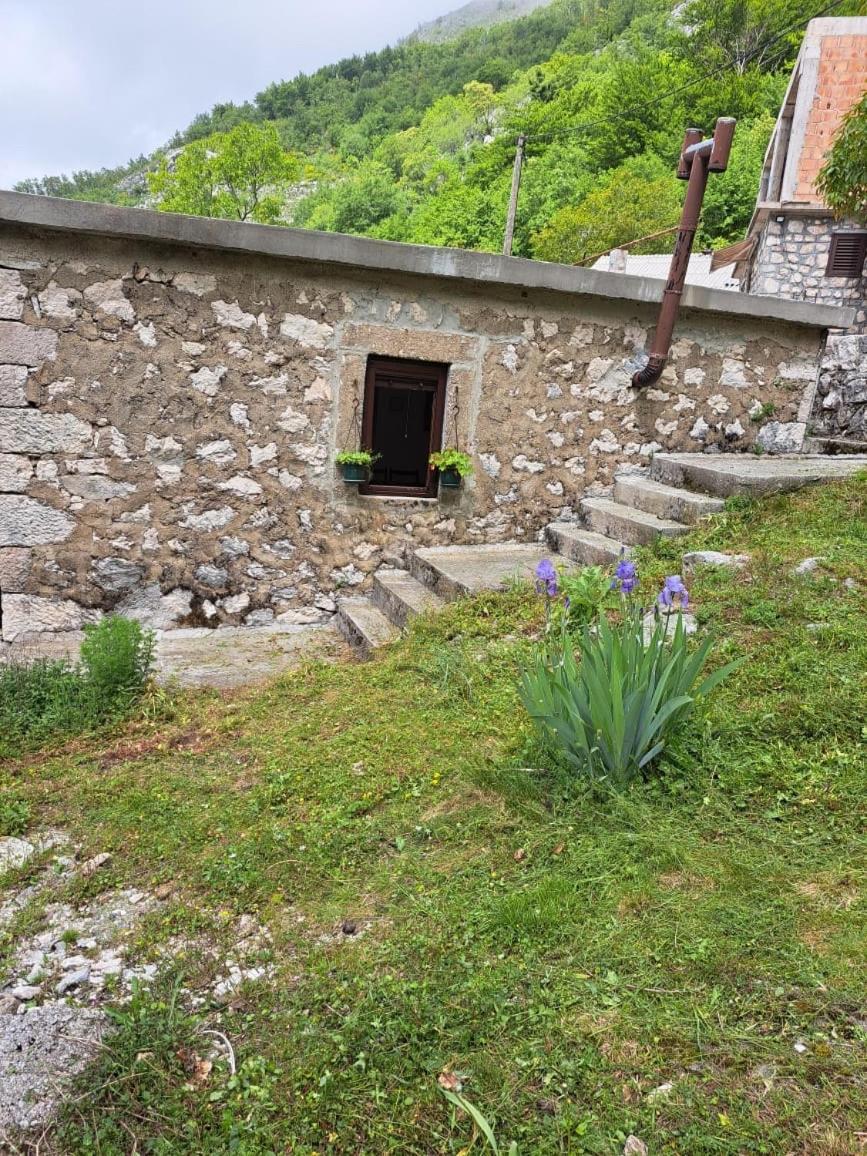 Nature Escape Montenegro Kotor Kültér fotó