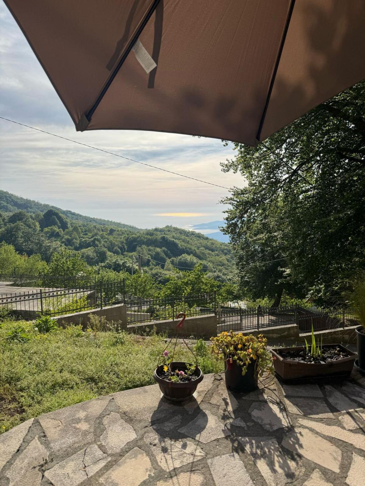 Nature Escape Montenegro Kotor Kültér fotó